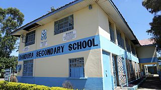 Students in Nairobi school hope bamboo wall will improve air quality
